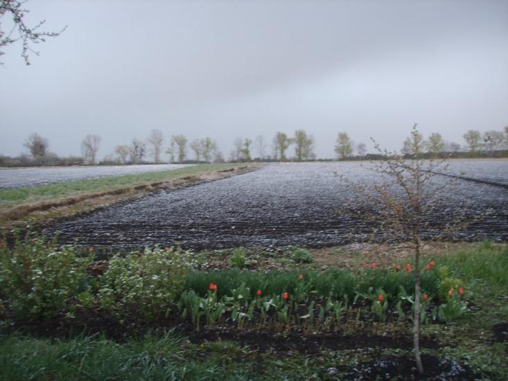 Набережне з panoramio.com - Naberezhne