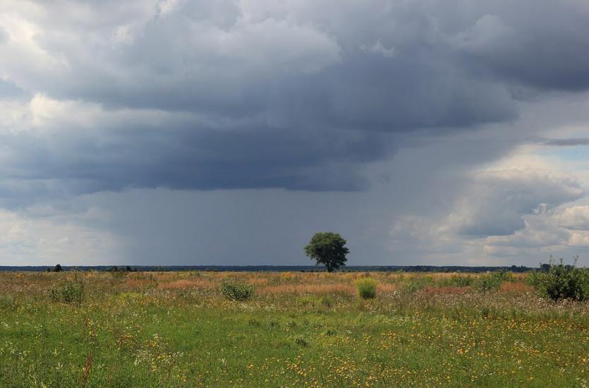 Годомичі з panoramio.com - Годомичі