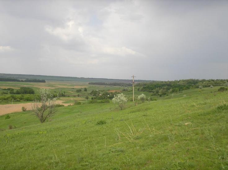 Катеринка з panoramio.com - Катеринка