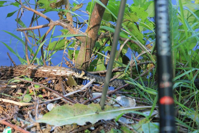 Городище з panoramio.com - Городище