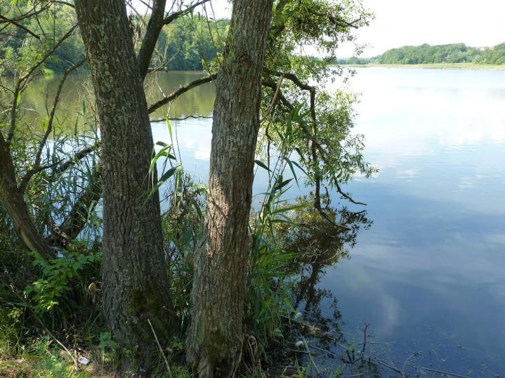 Медвин з panoramio.com - Медвин