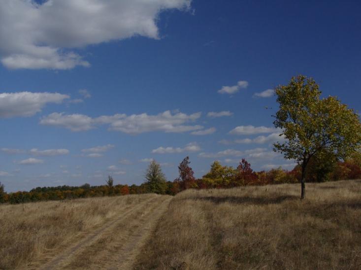 Пилипча з panoramio.com - Пилипча