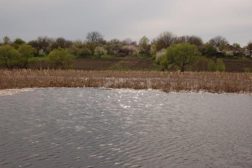 Голованівськ з panoramio.com - Golovanevsk