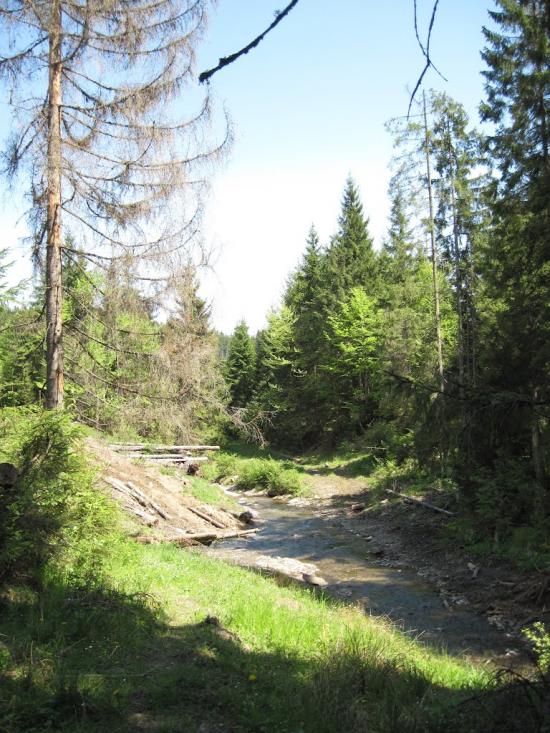 Лавочне з panoramio.com - Лавочное