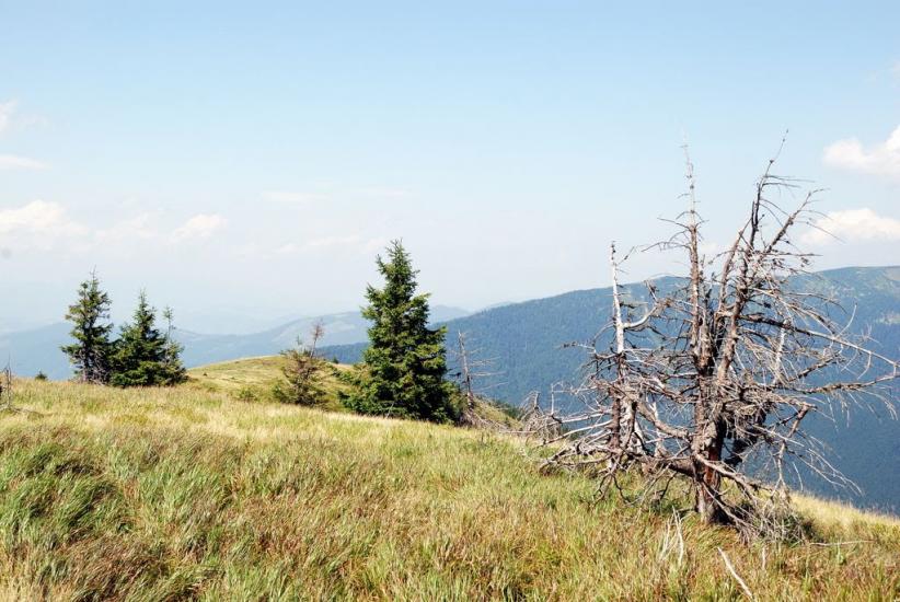 Заверхня Кичера з panoramio.com - Заверхняя Кичера