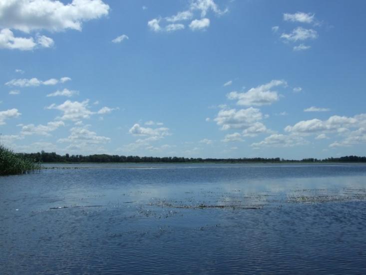 Солонці з panoramio.com - Solontsi