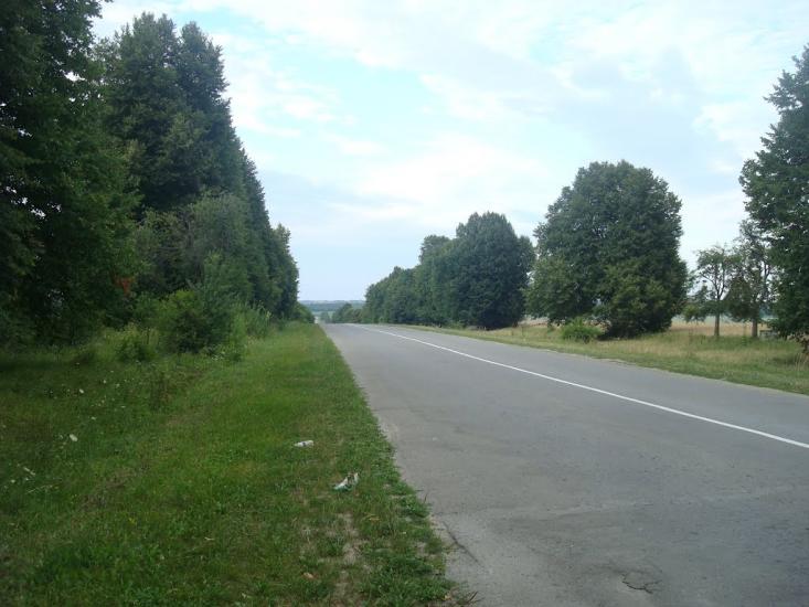 Майдан-Олександрівський з panoramio.com - Майдан-Олександрівський