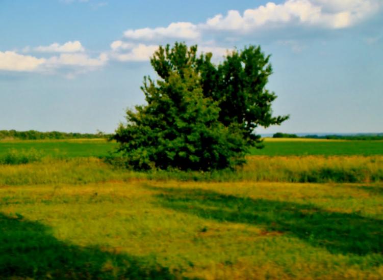 Смільчинці з panoramio.com - Смельчинцы