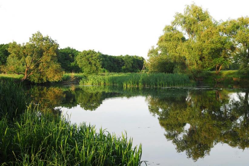 Пугачівка з panoramio.com - Пугачівка