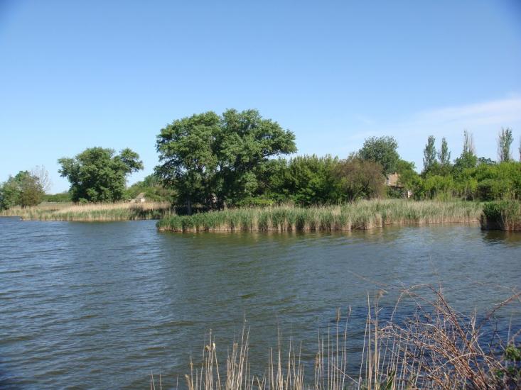 Очеретувате з panoramio.com - Очеретоватое