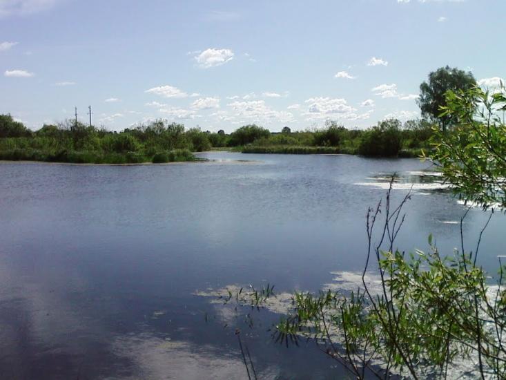 Сукачі з panoramio.com - Сукачі