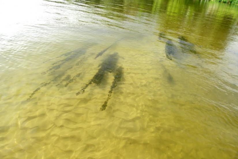 Яремівка з panoramio.com - Яремівка