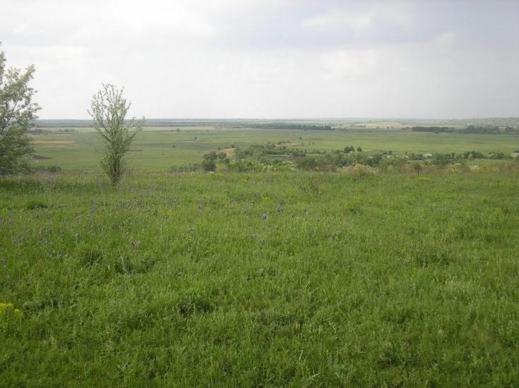 Катеринка з panoramio.com - Катеринка