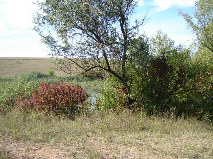 Кагарлик з panoramio.com - Кагарлык