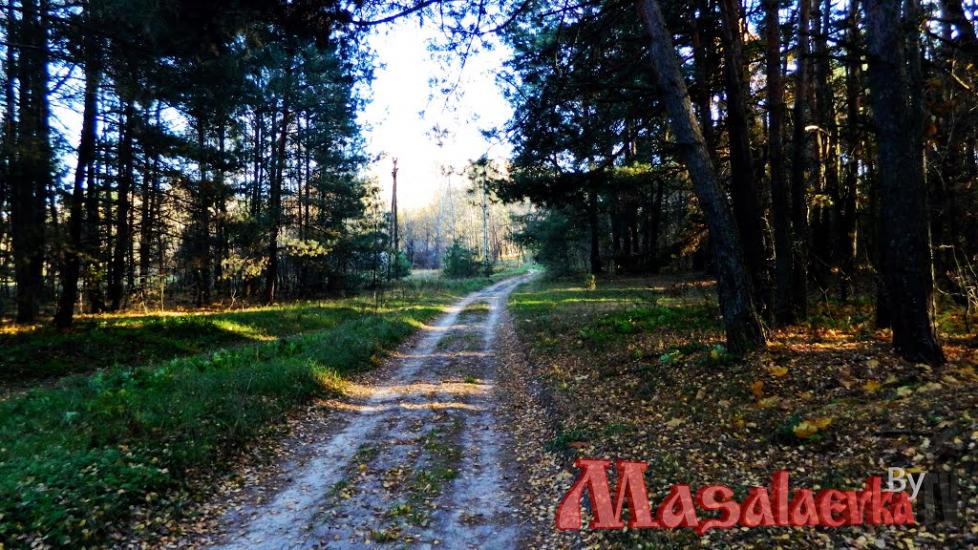 Масалаївка з panoramio.com - Масалаевка