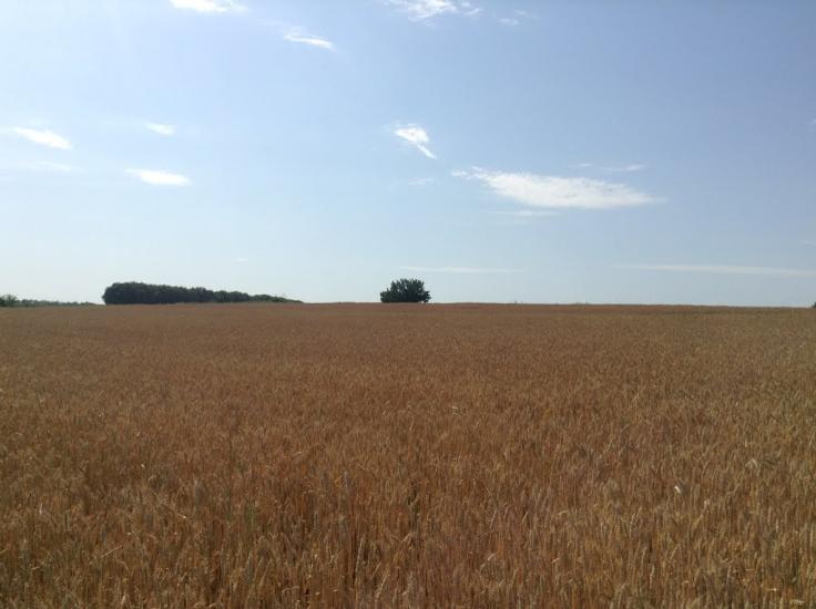 Перещепине з panoramio.com - Перещепино