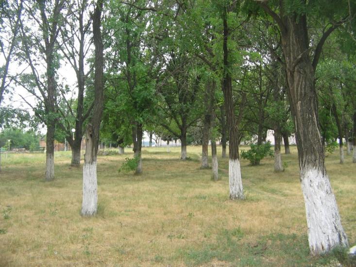 Кузнеці з panoramio.com - Кузнеці