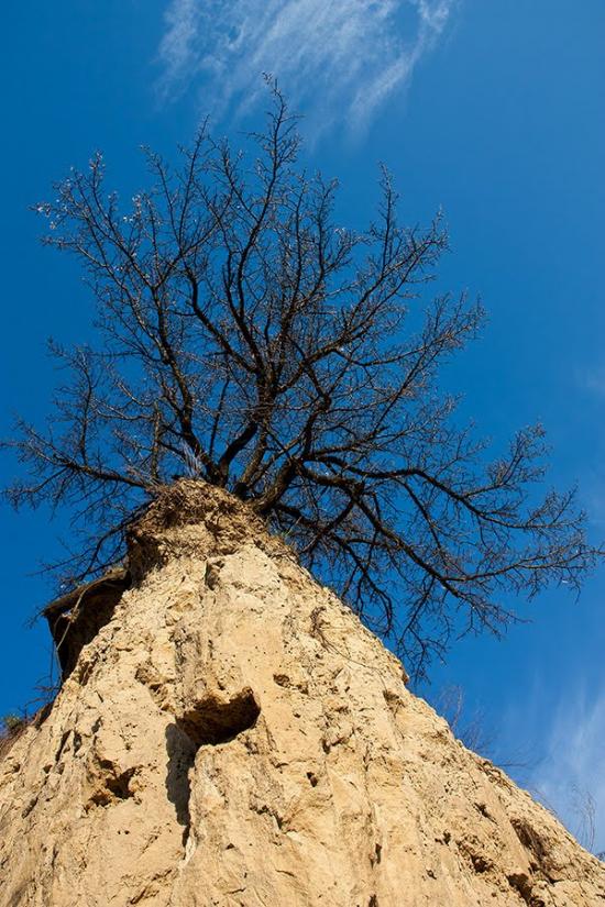 Чечелеве з panoramio.com - Checheleve