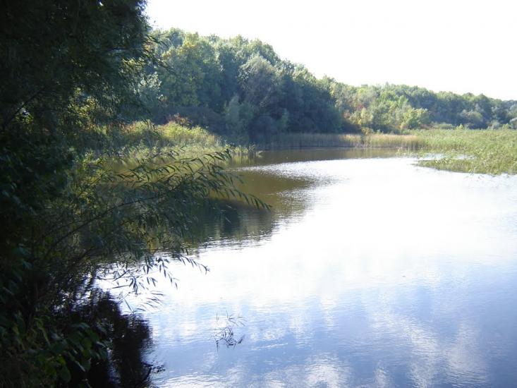 Кагарлик з panoramio.com - Кагарлык