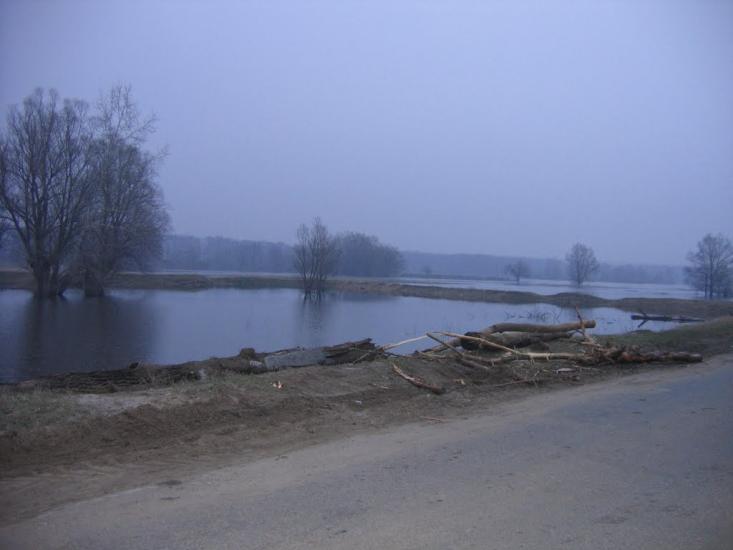 Курган з panoramio.com - Курган