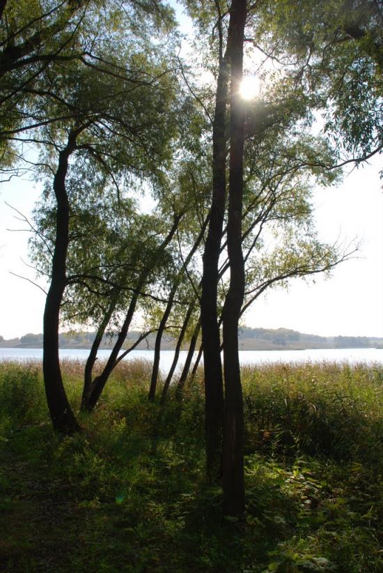 Черняки з panoramio.com - Черняки