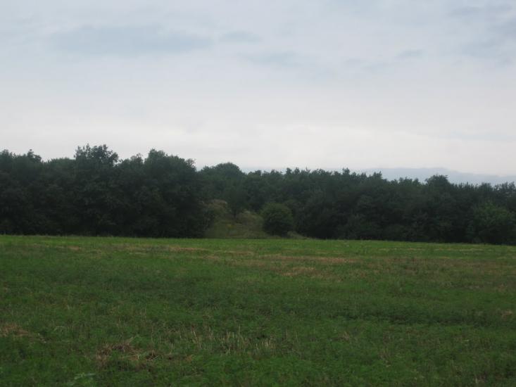 Садки з panoramio.com - Садки