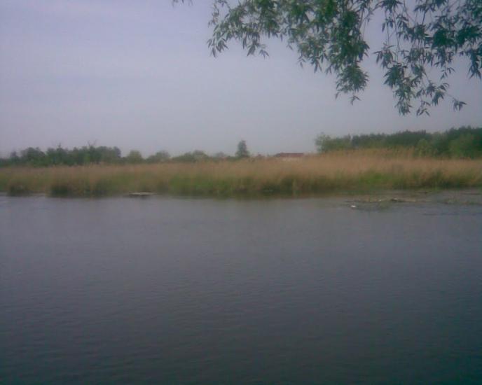 Синява з panoramio.com - Synyava