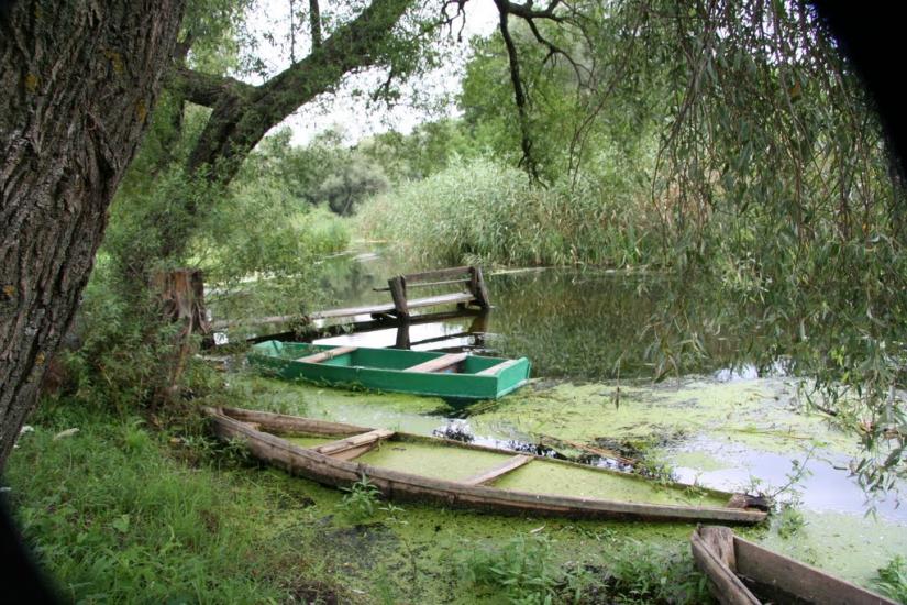Огірцеве з panoramio.com - Огірцеве