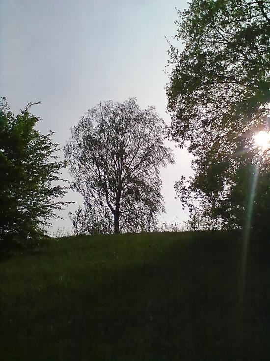 Кізлівка з panoramio.com - Кізлівка