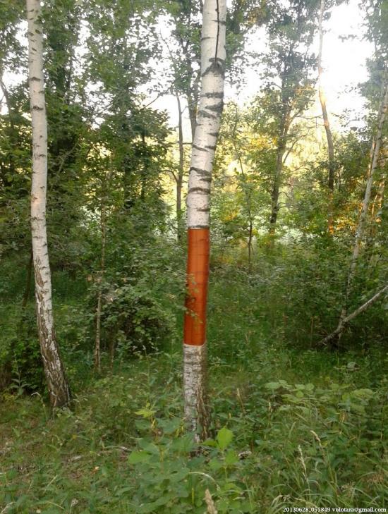 Бурківка з panoramio.com - Бурківка