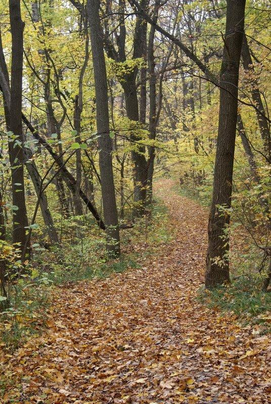 Коропове з panoramio.com - Коропово