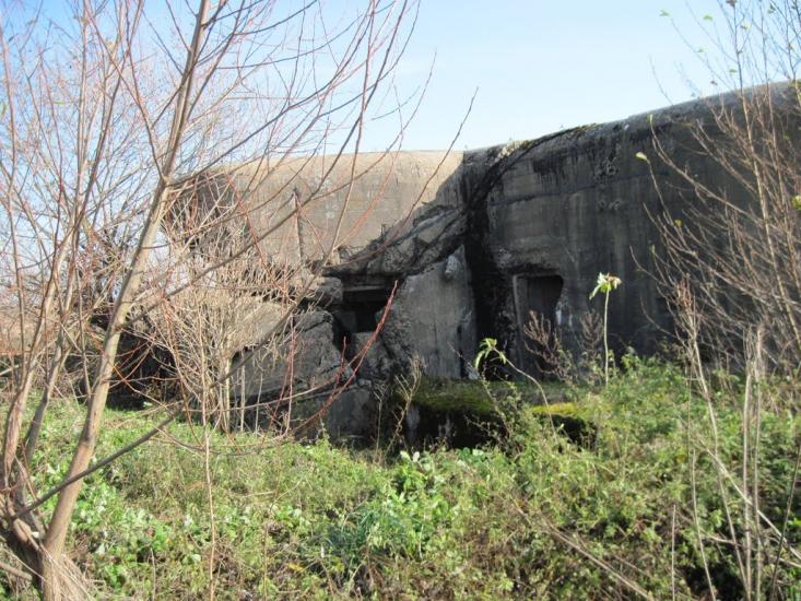 Тихе з panoramio.com - Тихе
