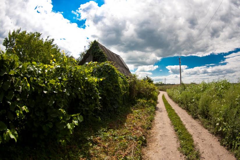 Степове з panoramio.com - Степове