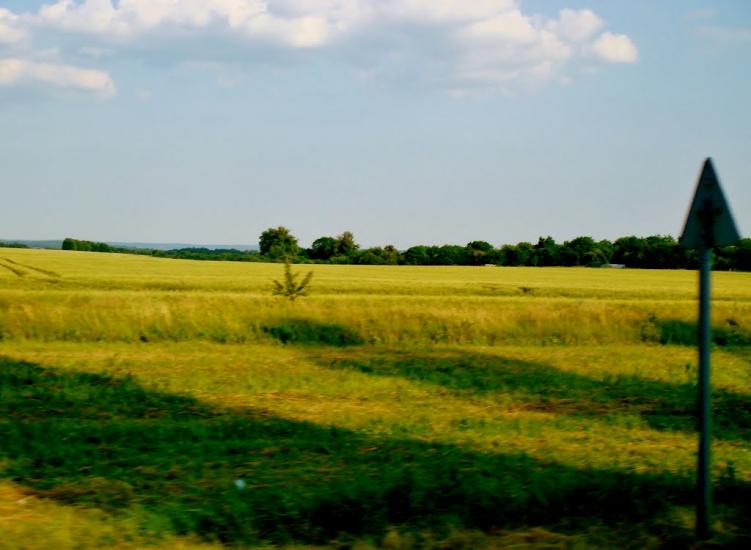 Смільчинці з panoramio.com - Смельчинцы