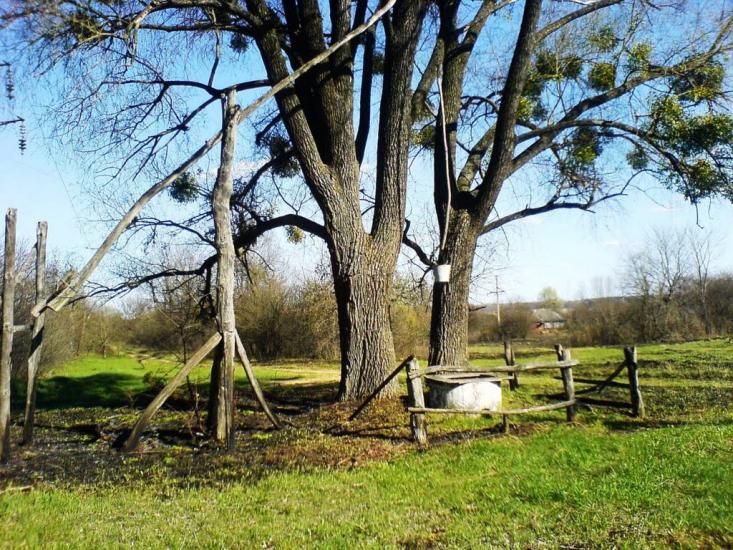 Великі Будища з panoramio.com - Великие Будища
