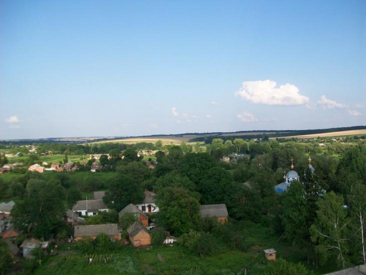 Ружичанка з panoramio.com - Ruzhychanka
