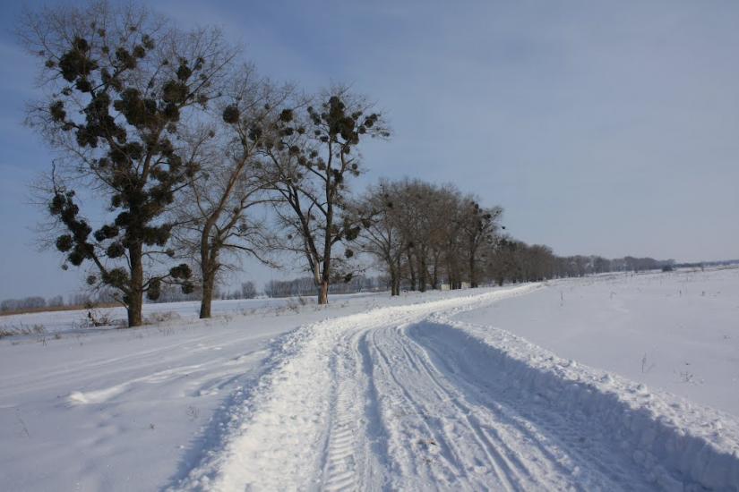 Хоцьки з panoramio.com - Хоцки