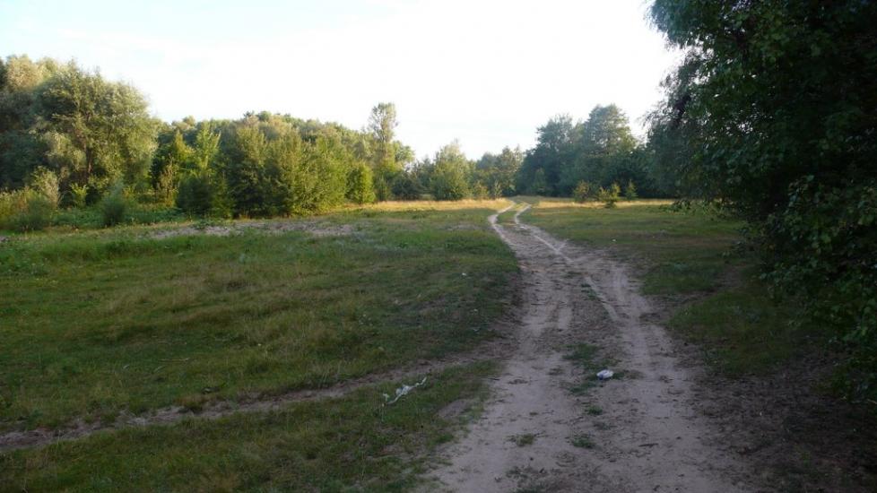 Великий Перевіз з panoramio.com - Великий Перевоз