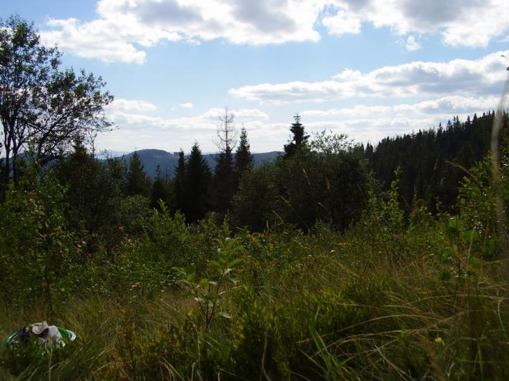 Погар з panoramio.com - Погар