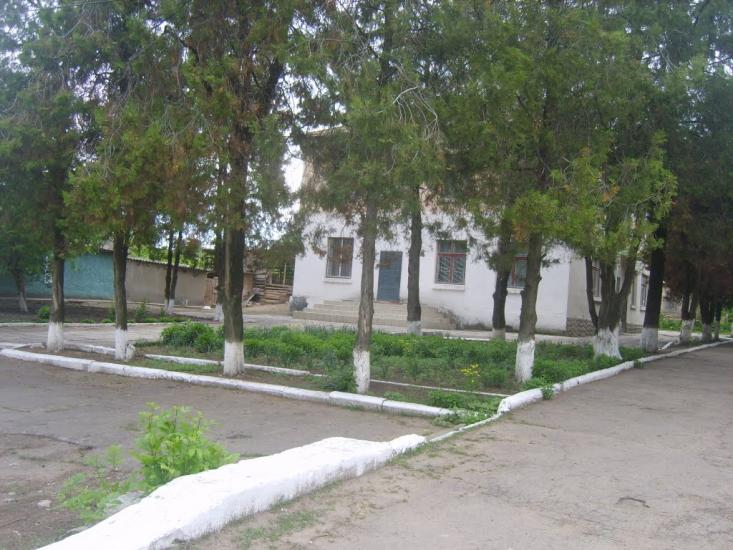 Миколаївка з panoramio.com - Миколаївка