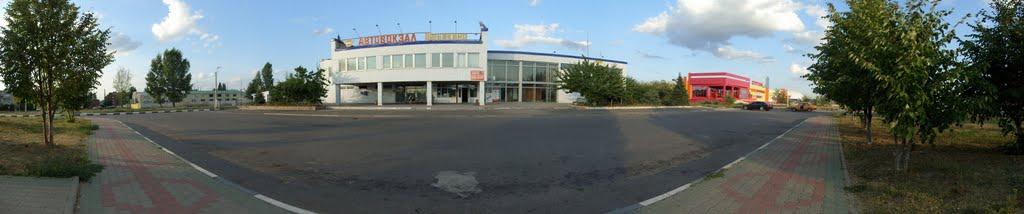 Плетенівка з panoramio.com - Плетеновка