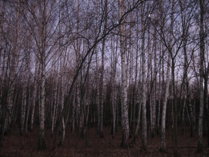 Чугуїв з panoramio.com - Чугуев