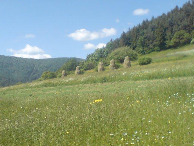 Баня-Березів з panoramio.com - Баня-Березов