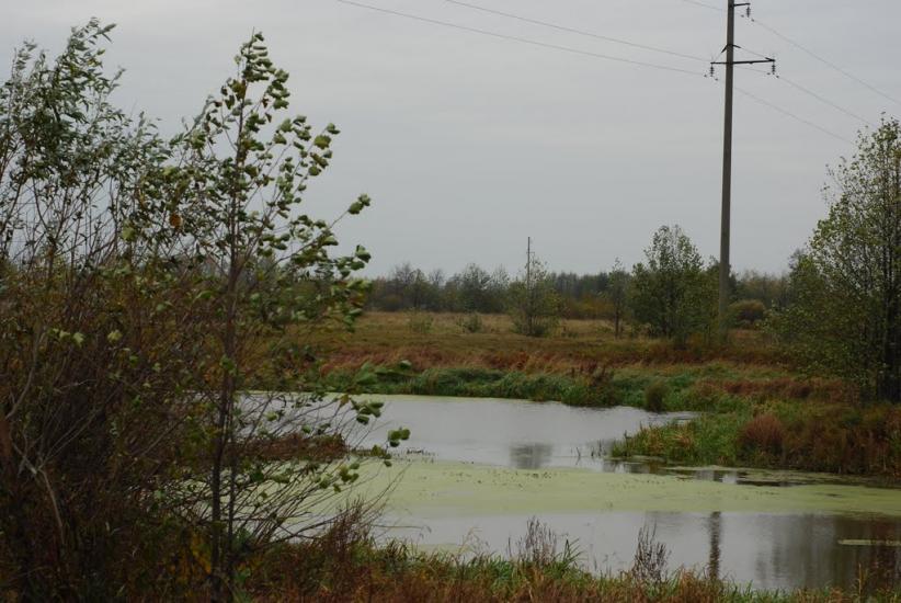 Остапівка з panoramio.com - Остапівка