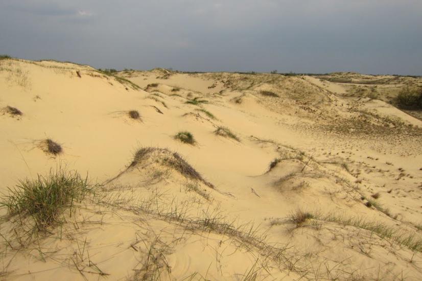 Козачі Лагері з panoramio.com - Козачие Лагеря
