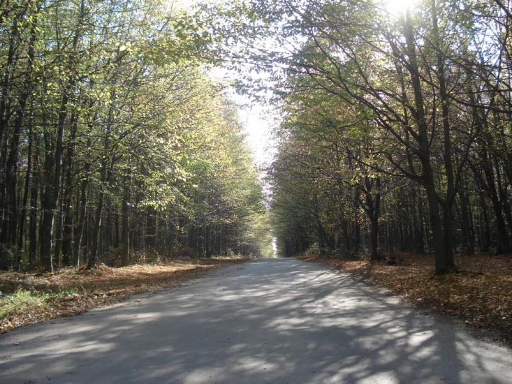 Головчинці з panoramio.com - Головчинцы