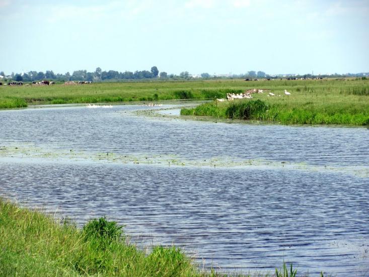 Прислуч з panoramio.com - Прислуч