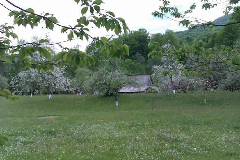 Кічерели з panoramio.com - Кичерели