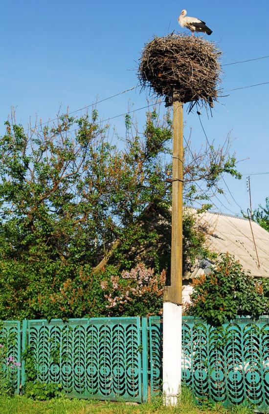 Михайлівка з panoramio.com - Михайлівка