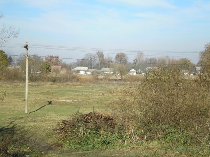 Негівці з panoramio.com - Негівці